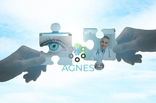AGNESConnectPuzzlePiece